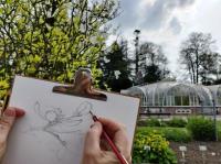 Workshop: Natuurtekenen voor beginners