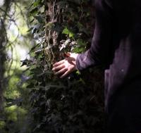 Rêveries Botaniques : Bain de Forêt, Qi Gong et Poésie au Fil des Saisons
